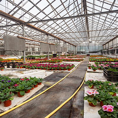 Ma'aunin zafi na Greenhouse