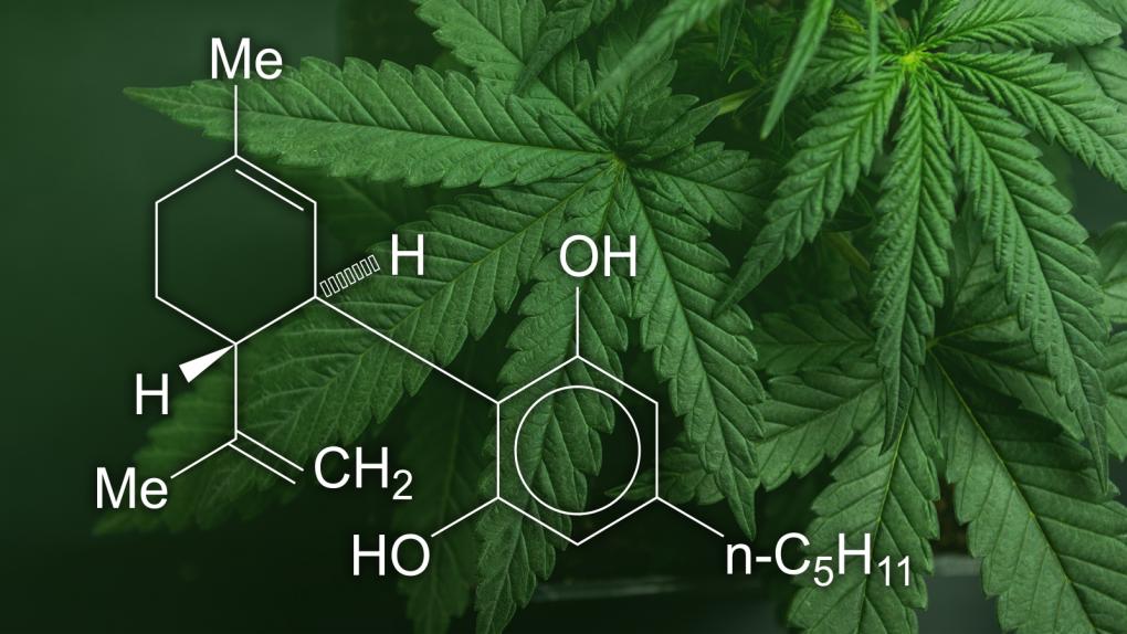 Cannabidiol_CBD_CU_05_1600x900