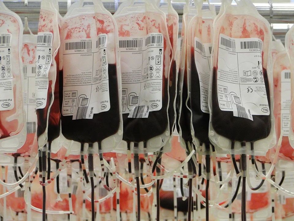 vrećice za krv-91170_960_720