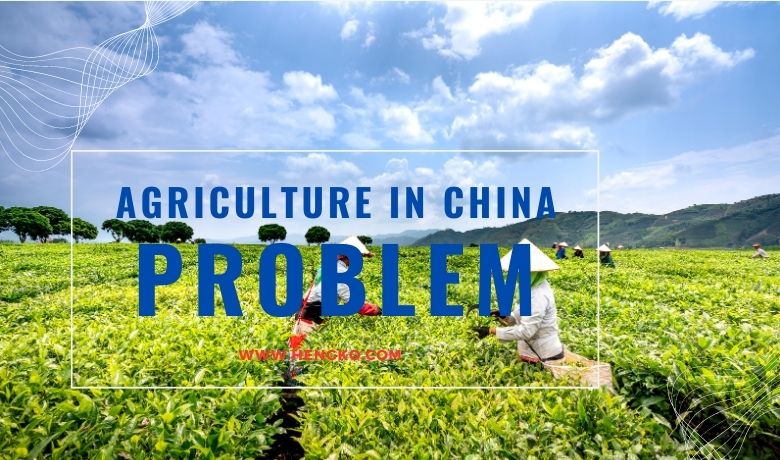 Agriculture problem in China