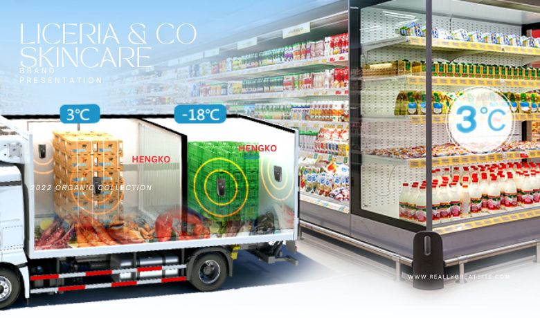 Cold Chain Transportation the best solution