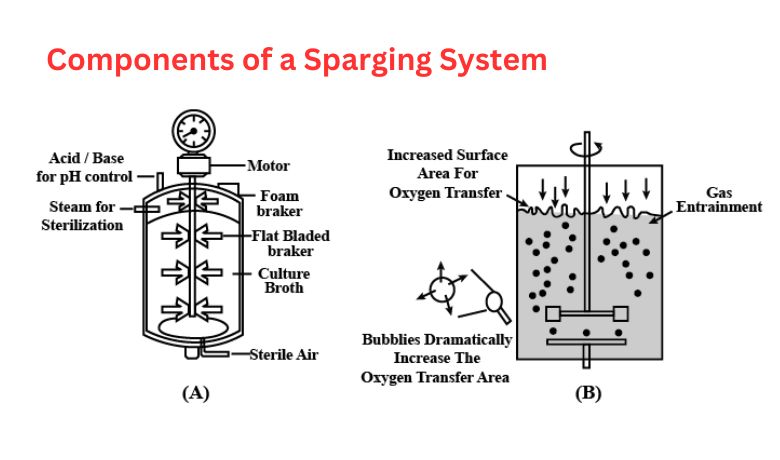 Komponenty spargingového systému