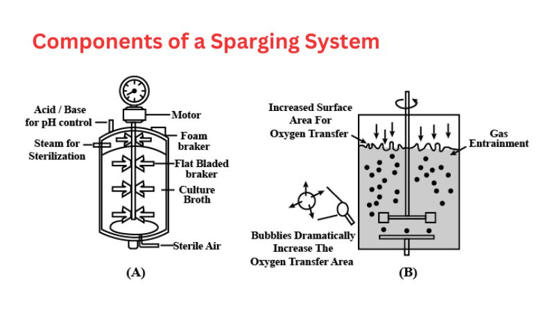 Íhlutir sparging kerfis