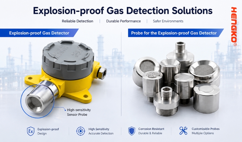 Explosion-proof Gas Detection Solutions by HENGKO