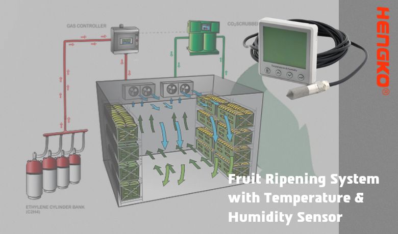 Sistema de maduración de frutas con sensor de temperatura y humedad