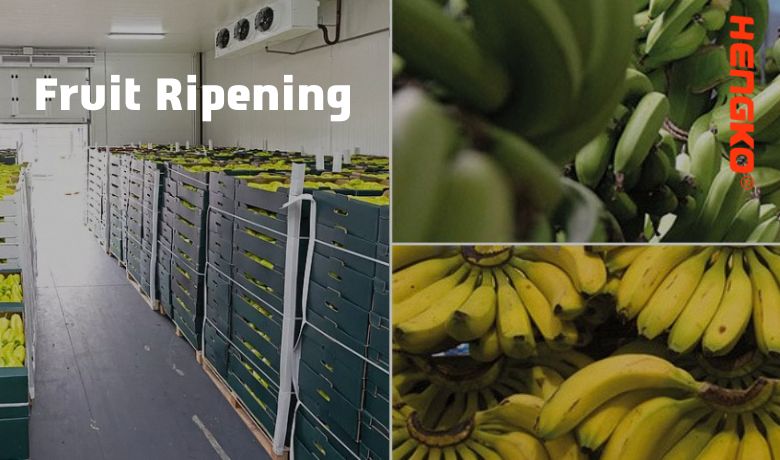 Fruit Ripening to  Gas and Temperature Humidity Monitoring System