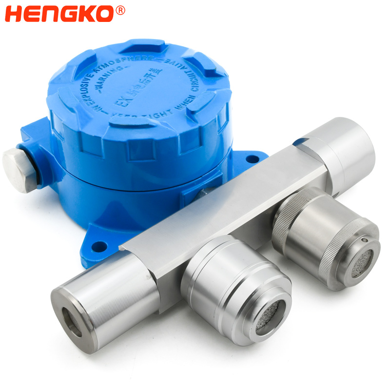 HENGKO-Explosiounsbeständeg portable brennbare Gasdetektor -DSC 5737