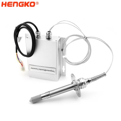 HENGKO-Sond för hög temperatur och fuktighet-DSC_1148