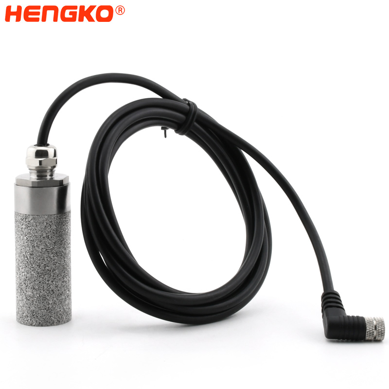 HENGKO-digital probe manufacturer DSC_8881