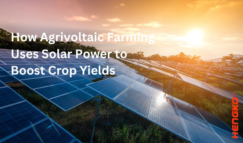 Hvordan Agrivoltaic Farming bruker solenergi for å øke avlingene