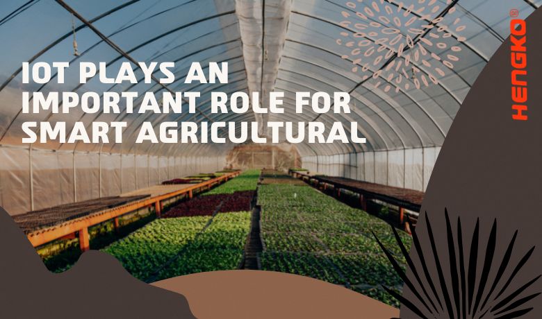 IOT відіграє важливу роль для розумного сільського господарства