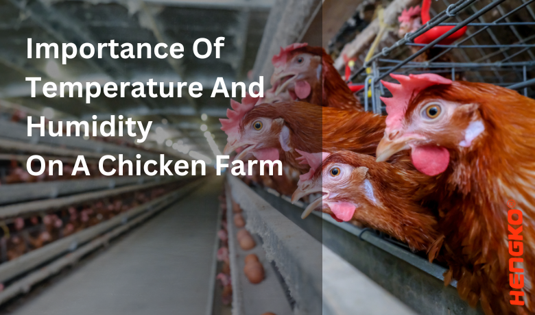 Importance Of  Temperature And  Humidity  On A Chicken Farm