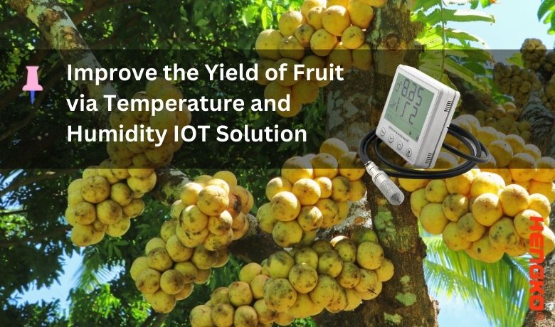 שפר את תפוקת הפירות באמצעות פתרון IOT לטמפרטורה ולחות