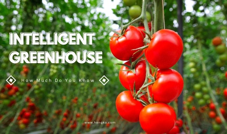 Intelligent Greenhouse how much do you know