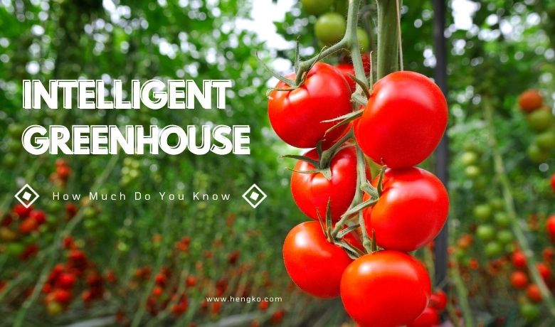 Intelligent Greenhouse yakawanda sei iwe yaunoziva