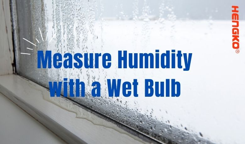 Măsurați umiditatea cu un bec umed