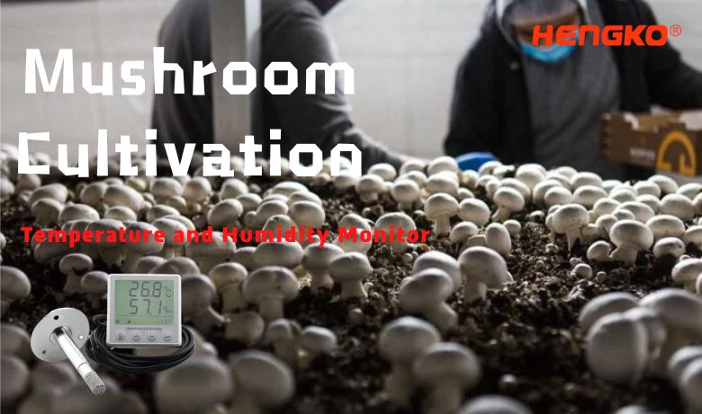 Monitor temperature i vlažnosti uzgoja gljiva