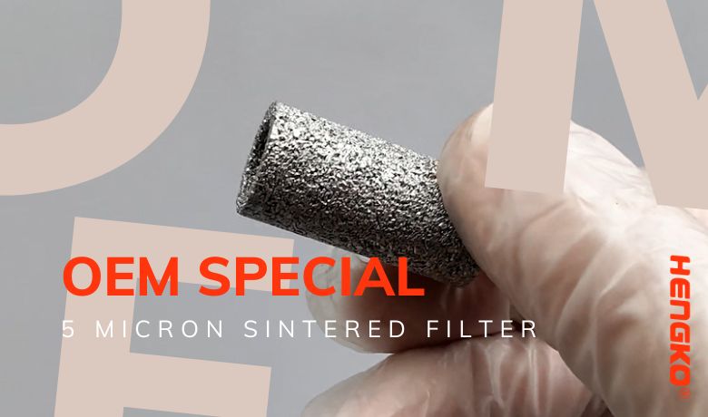 Filtre fritté spécial OEM de 5 microns