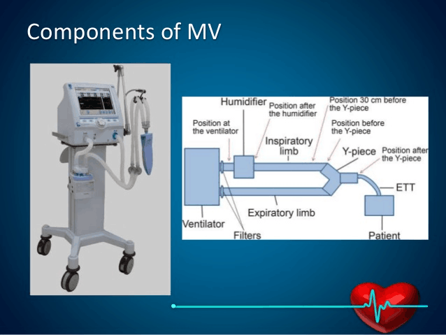 Ventilator filtre