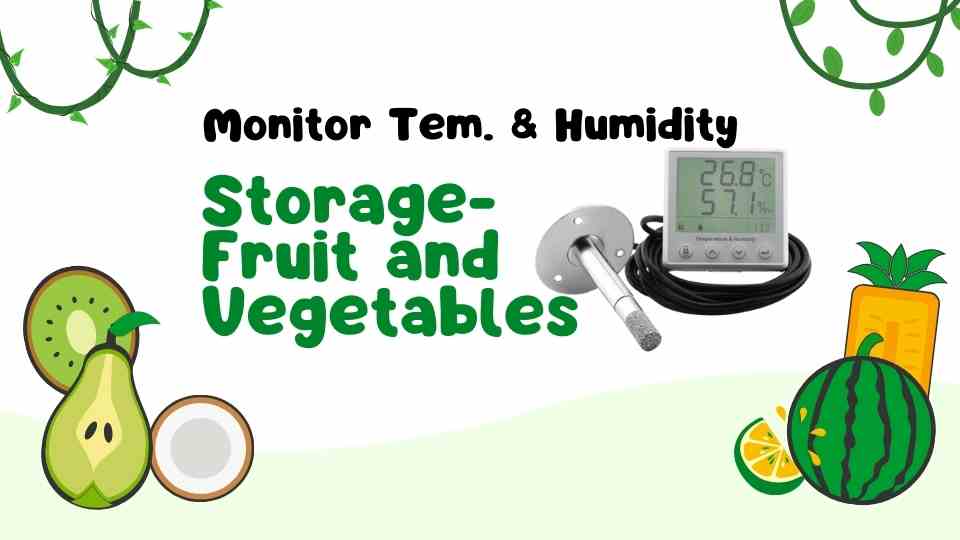 Opslag-fruit en groenten om temperatuur en vochtigheid te controleren