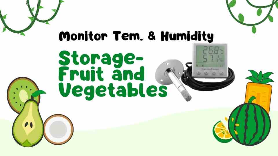 Stockage des fruits et légumes pour surveiller la température et l'humidité