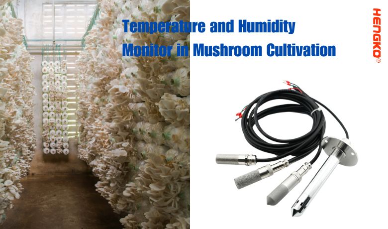Monitor temperature in vlažnosti pri gojenju gob