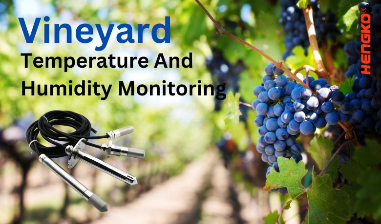 Überwachung der Temperatur und Luftfeuchtigkeit im Weinberg