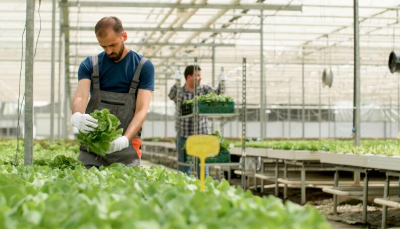 Digitaler Monitor und Sensor für die Landwirtschaft