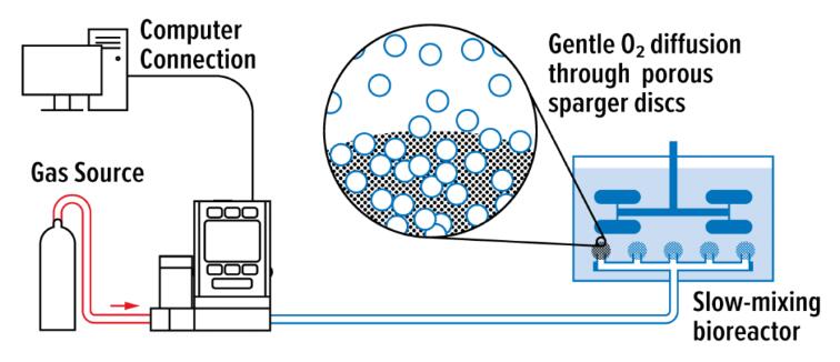 bioreactor sparging lè l sèvi avèk kontwòl koule mas