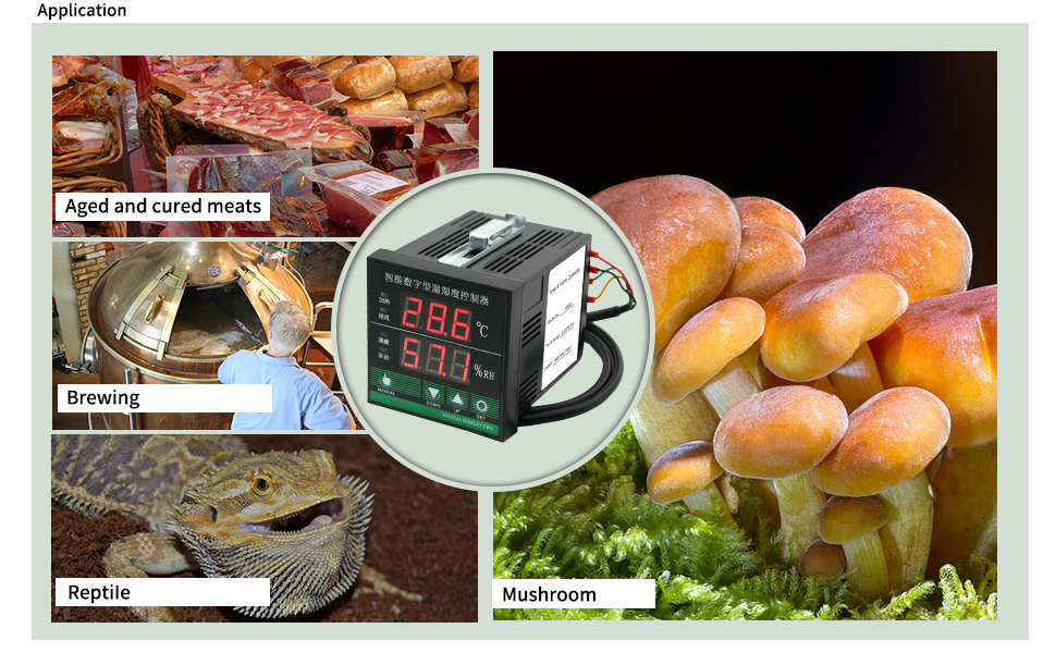 temperature and humidity controller 2