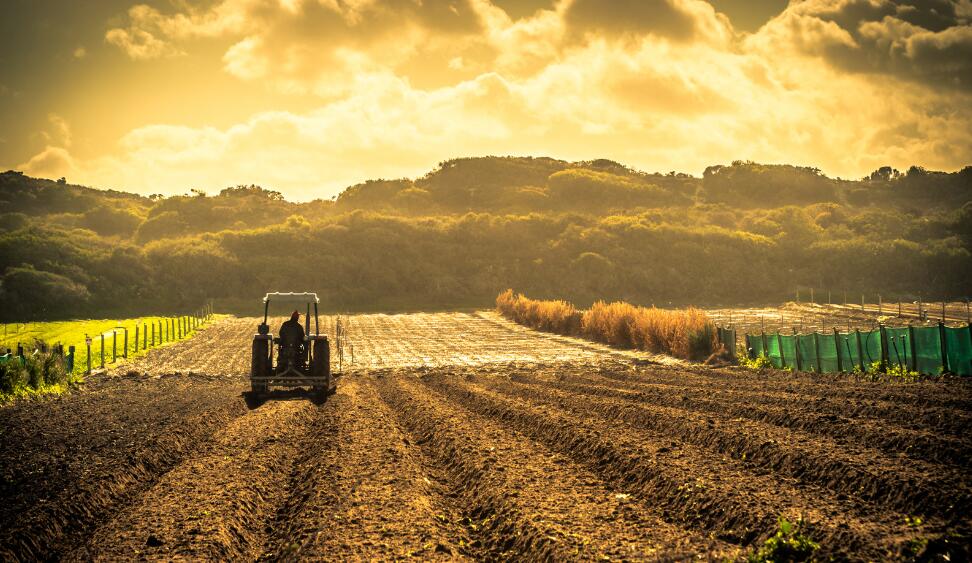 waxa aan ku samayn karno Smart Agriculture ee ku saabsan dareemayaasha