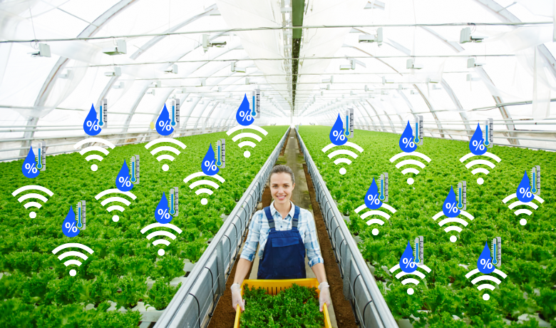 wifi Greenhouse Remote Monitoring System
