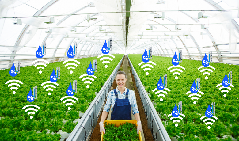 Wifi Greenhouse Remote Monitoring System